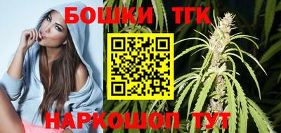Альфа ПВП Дубна