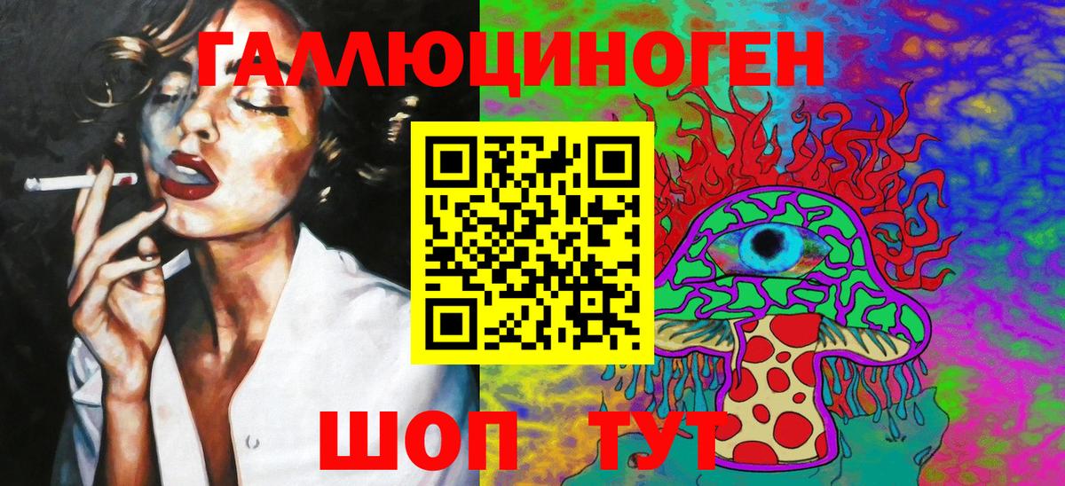 Вичуга  Псилоцибиновые грибы Psilocybine cubensis  Вход с VPN 