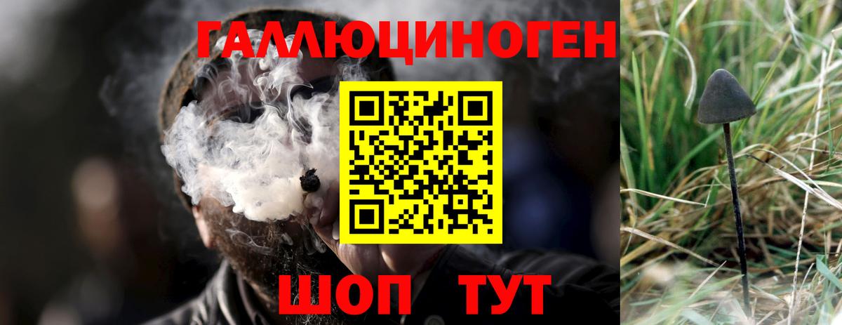 Галлюциногенные грибы Magic Shrooms Вичуга