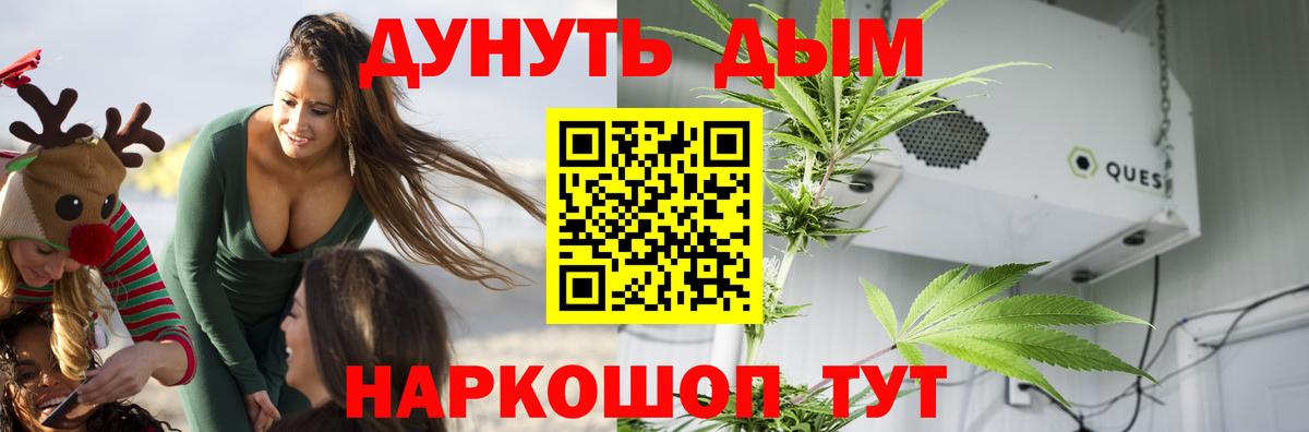 Бошки Шишки план Вичуга
